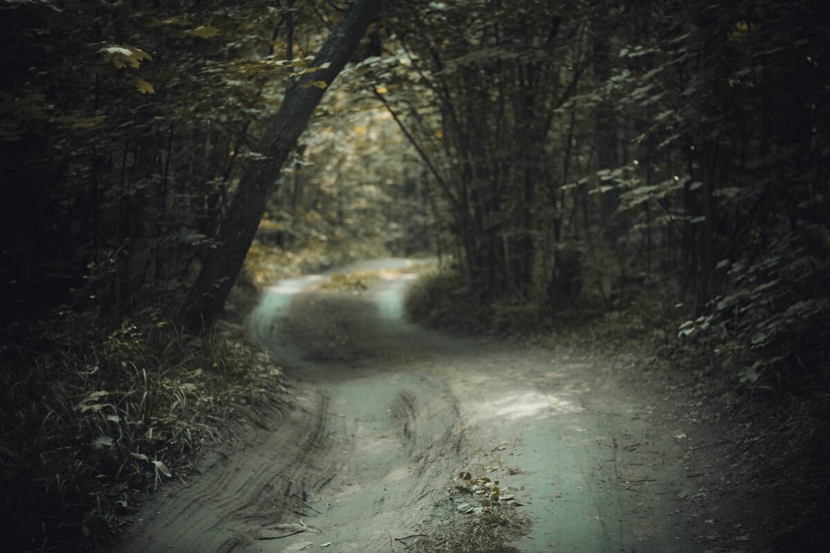 https://unsplash.com/photos/yTJPpfjcx2c
