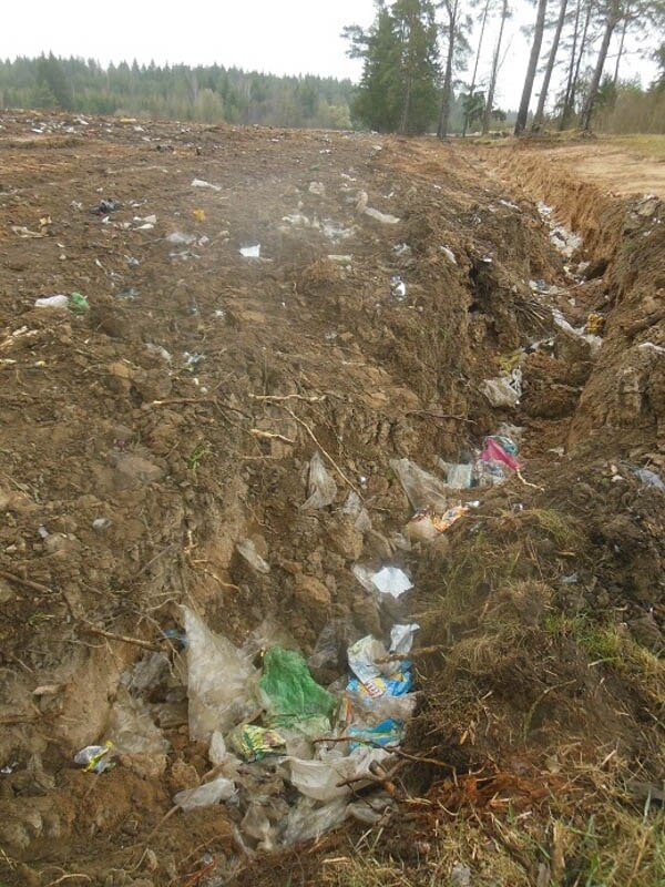 Фото, сделанное весной. Фото Игоря Пастухова