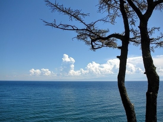 Источник Интернет