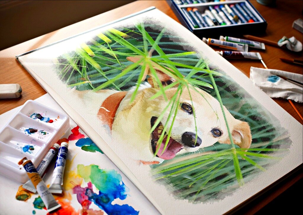 Фото взято с пиксабай: https://pixabay.com/ru/photos/собака-в-траве-собака-в-кустах-5332674/ Обработка автора канала