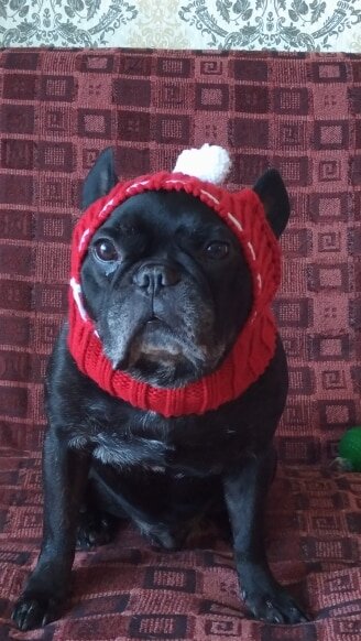 фото с https://aliexpress.ru/