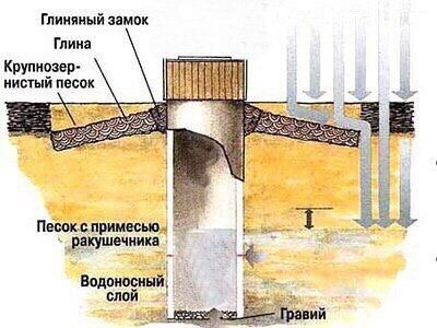 Наш колодец на даче
Вода очень ценна на даче, особенно сейчас, в такое пекло! У нас на даче сейчас пересох колодец, но, к счастью, есть еще и скважина. Колодец на нашем участке, а скважина общая, садоводческая. Так что на мой взгляд, самый лучший вариант, когда у вас есть возможность пользоваться и скважиной и колодцем.
Воду у нас дают три раза в неделю, этого достаточно, чтобы набрать большую бочку и полить все цветы и растения. Помимо этого из бочки мы берем воду для хозяйственных нужд. Муж провел летний водопровод, сделал раковину и слив. Почти все блага цивилизации уже есть. Не хватает только туалета с унитазом
Вернемся, однако, к колодцу. Вообще, вопрос что лучше, на мой взгляд, не совсем корректен. Колодец дешевле, но вода менее качественная. Скважина дороже, но вода идеальна для питья. Конечно, если рядом с участком есть выход родниковых вод, то в таком случае колодец будет оптимальным выбором.
Копают колодец чаще всего на первый водоносный горизонт. Везде этот уровень разный, вода может быть и на двух метрах, и на 5 метрах. В большинстве случаев в колодец будет приходить грунтовая вода. В отдельных случаях роют колодец до второго водоносного слоя.
Плюсы колодцев:
простота эксплуатации, доступность емкости для чистки, возможность использовать ведро для подъема воды.
Минусы:
Если у вас на участке грунтовые воды залегают низко, то разработка колодца может быть даже дороже, чем бурение скважины.
Мы пользуемся колодцем весной, когда он полон, а воду еще не дают в садоводстве. Потом, когда пускают воду централизованно, о колодце забываем, да он уже к тому моменту подсыхает.
Наш колодец пересох
Кстати, в планах у нас еще заказать бурение скважины на участке, чтобы быть автономными в плане воды. Общая вода хоть и хорошая, но привязан к часам ее подачи. Со своей скважиной гораздо удобнее — когда нужна вода, включил насос и пользуйся…
Вся трава желтая из-за засухи
Конечно, скважина стоит дороже, но и плюсов у нее больше. Глубины, на которые обычно бурят скважины, составляют от 100 до 200 метров. Более глубокие скважины дают уже минеральную воду, что для повседневного использования не вполне подходит. Предел минерализации не выше грамма на литр. Кстати, бурить скважины можно в любое время года. Зимой даже удобнее, так говорят сами вододобытчики.
Водонапорная башня у нас на даче
Своими силами скважину не сделать. Только с помощью буровых установок. Но шнековое бурение самое нежелательное для качественной скважины, хоть и самое простое. При таком методе сложно определить где именно залегает водоносный слой, а также узнать его толщину. Также важно узнать насколько мощный водоупорный слой залегает под водоносным уровнем.
Если будете искать бригаду бурильщиков, то выбирайте тех, кто работает ударно-канатным или колонковым методом.
Вода из скважины холодная и вкусная
После того, как бригада пробурит скважину, в нее устанавливается фильтр — сетка и гравийная обсыпка. Сам фильтр устанавливают в водоносном слое, чаще всего водоносные слои — это песчаники. Ниже фильтра, в водоупорном слое, ставят отстойник, в который оседает взвесь, прошедшая сквозь фильтр. Стенки и дно отстойника закрываются гильзой. Сам ствол скважины отсекается от грунта обсадной колонной, которая препятствует попаданию грунтовых вод и грунта шахту.
Насосная станция подающая воду в накопительные бочки
Сверху на скважину монтируется оголовок. Вода из скважины подается с помощью насоса.
Я уже, наверное, сама стала специалистом по скважинам, пока материал собирала, да искала сведения по грунтам. Но, наверное, так и надо, в любом деле, которое тебе интересно, хоть в какой-то степени разбираться.