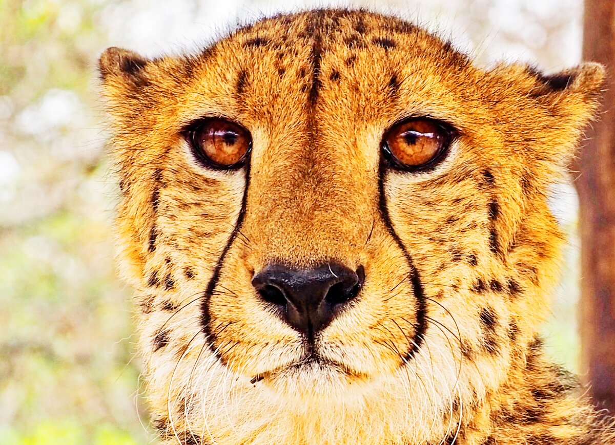 Фото с сайта unsplash.com. Автор: Nick Kwan