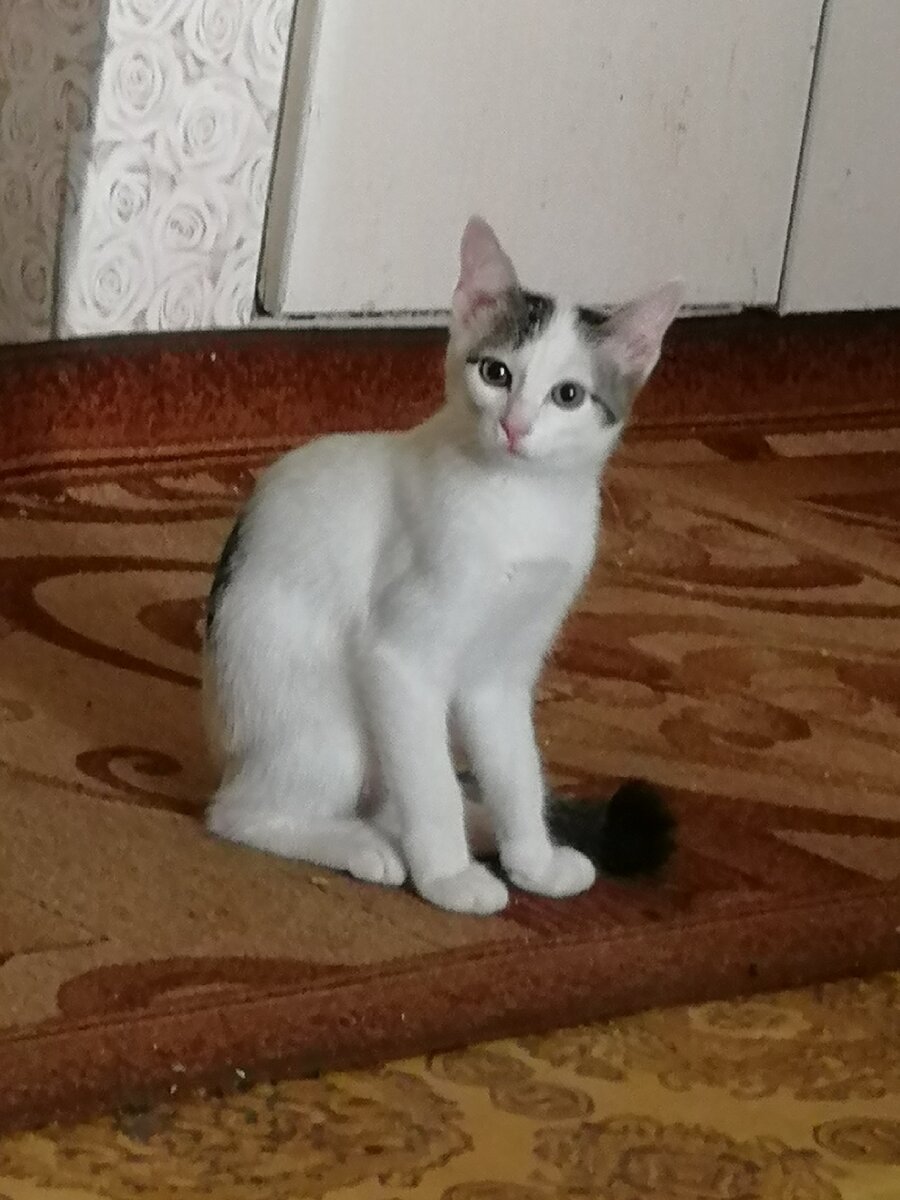 Вот такая защитница