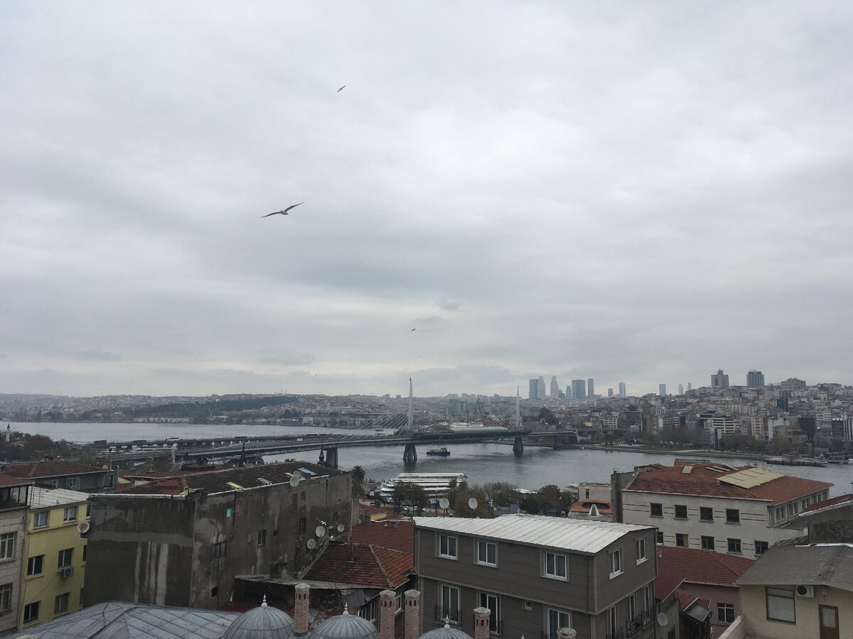 Ноябрь. Стамбул. Чайки. Фото мое.