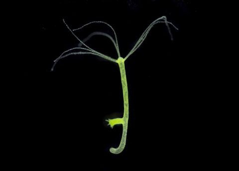 Автор: Pinterest Адрес: https://i.pinimg.com/736x/0f/f2/86/0ff286f810e4f85157a5a7c03d965999--aid.jpg