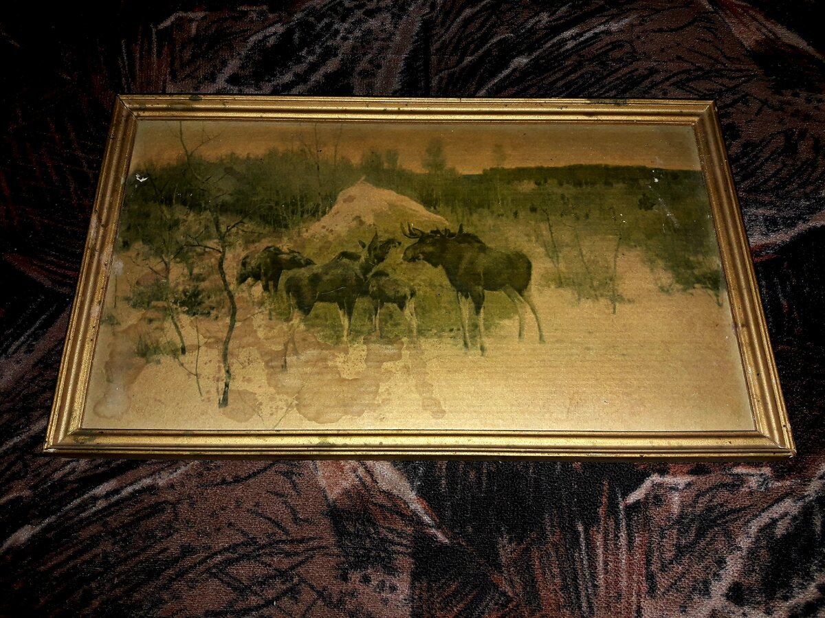 Картина "Лоси" Снимок автора