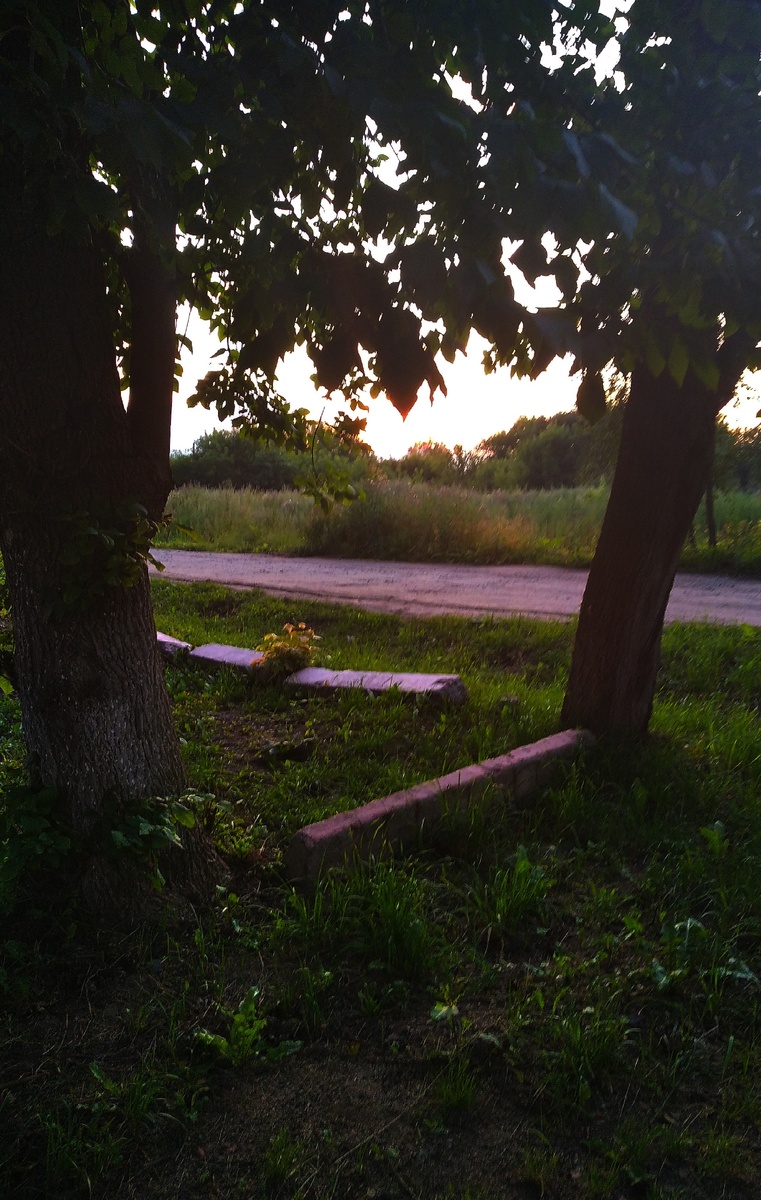 Ещё одно фото, немного затемнено