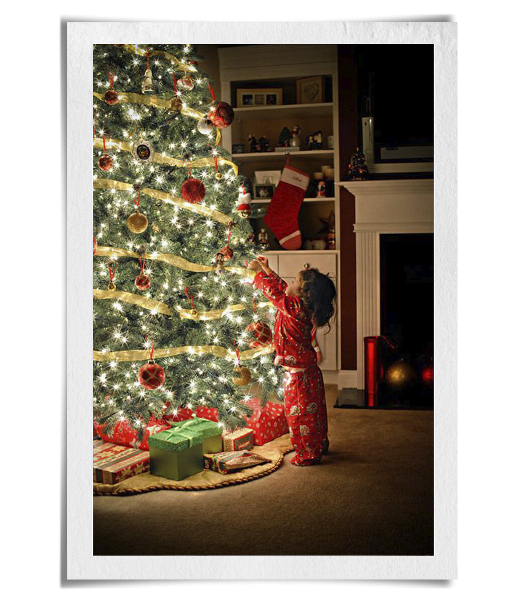 Фото из свободного источника