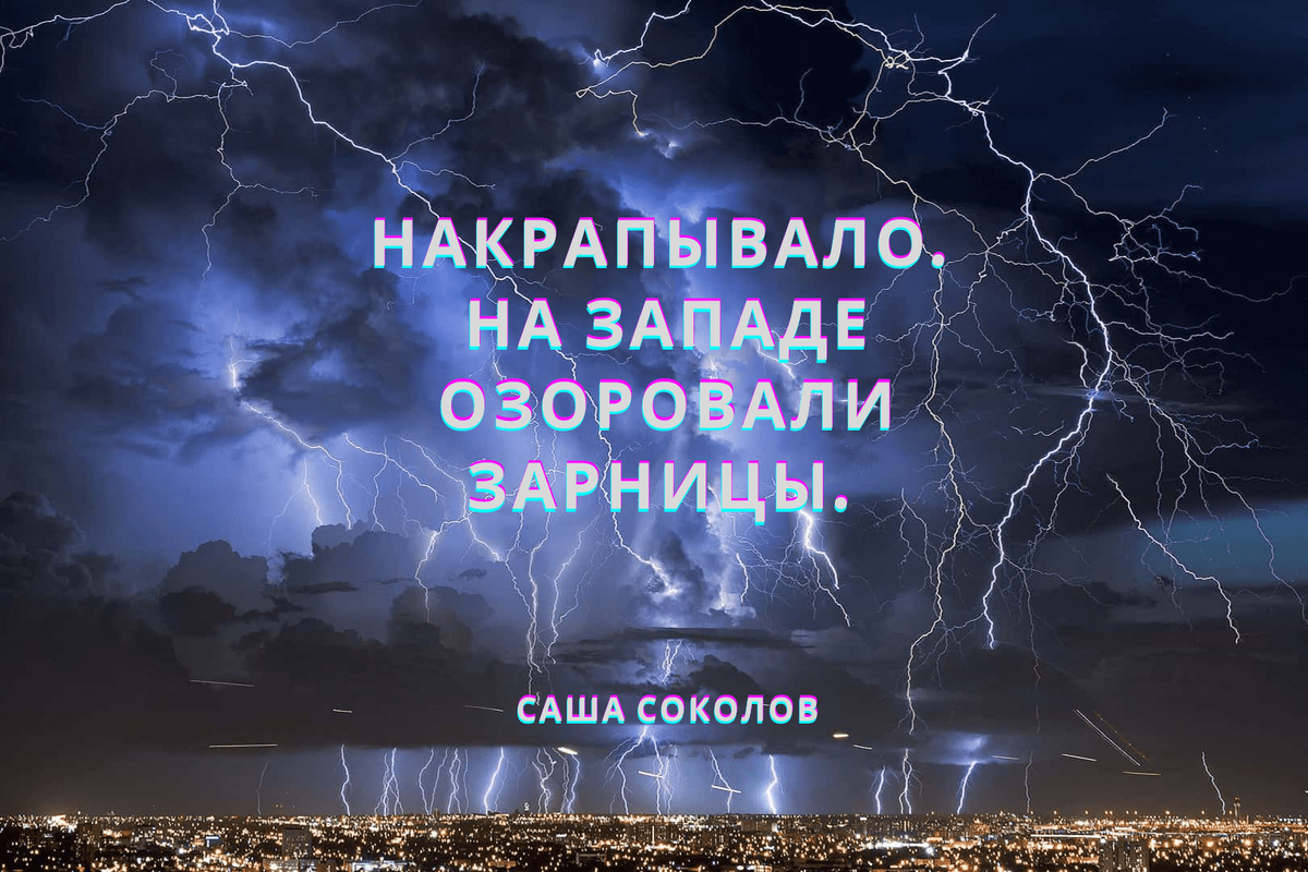 Цитата из романа Палисандрия поэта и писателя Саши Соколова