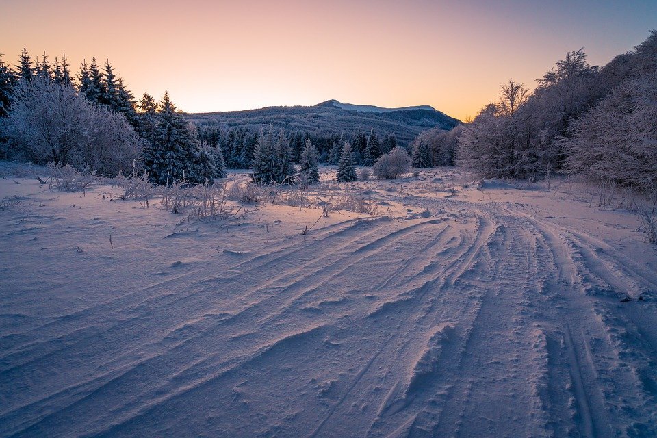 Изображение взято для ознакомления. Ссылка на изображение: https://cdn.pixabay.com/photo/2020/03/24/11/21/winter-4963715_960_720.jpg