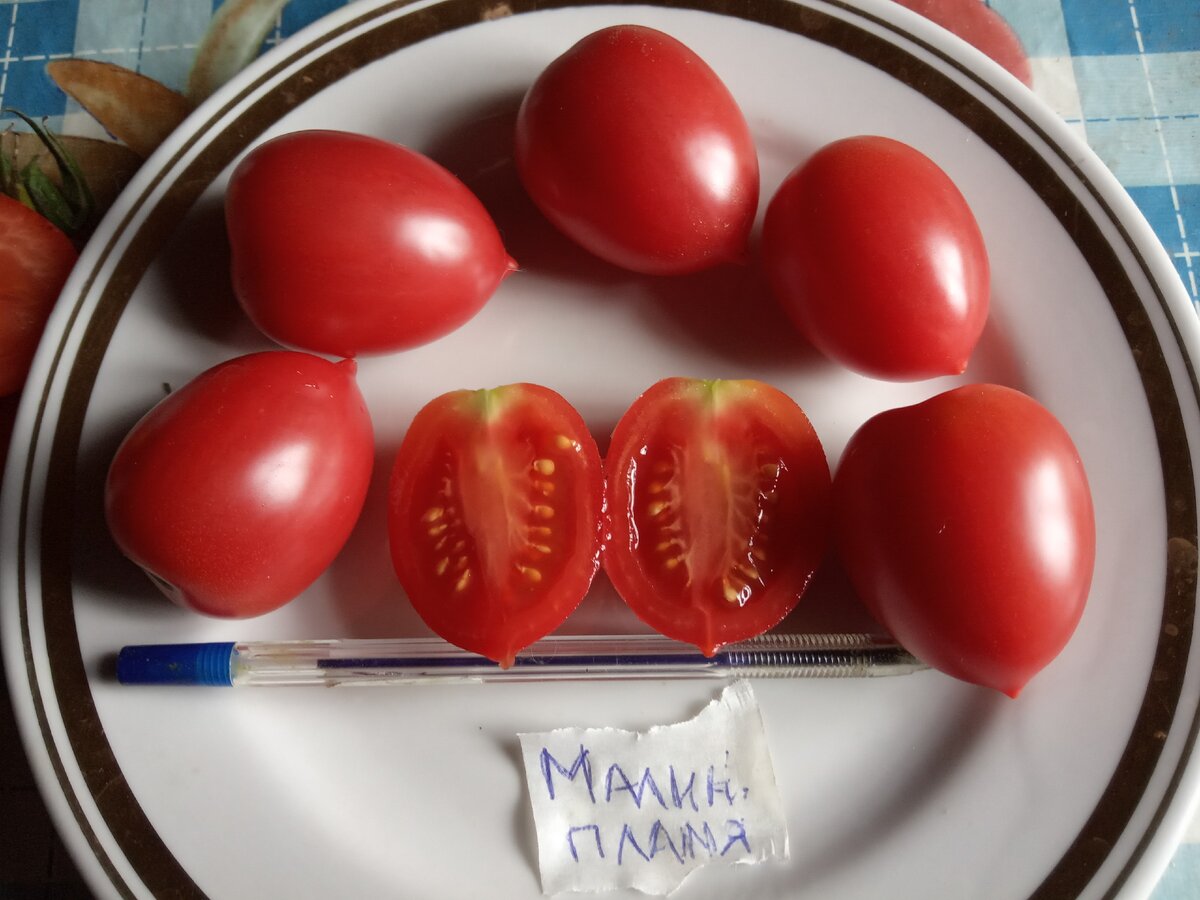 Малиновый король томат описание и фото