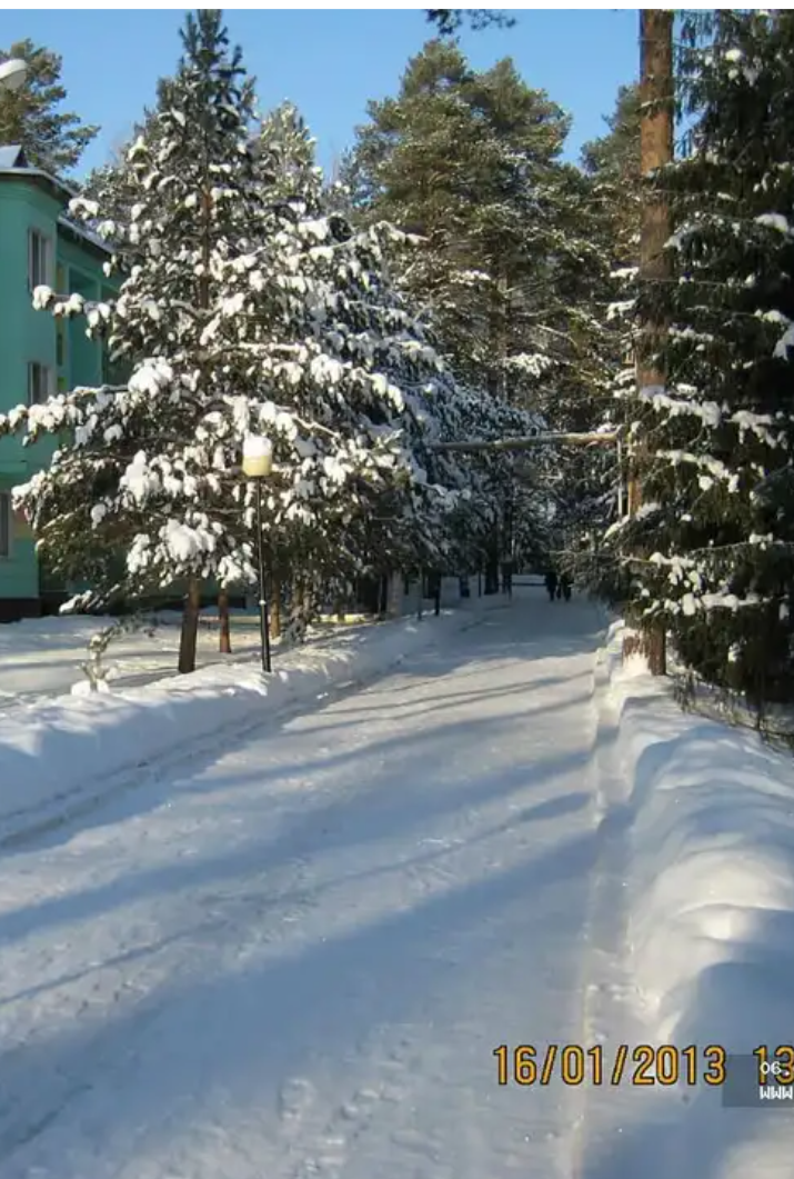 Зимняя дорожка среди сосен в санатории