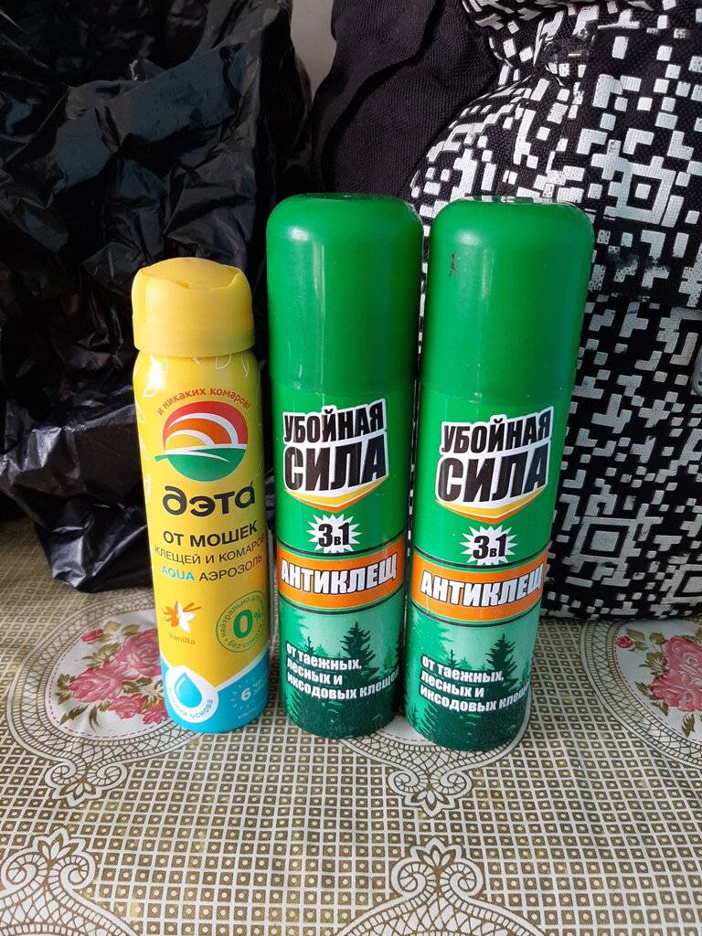 Изображение принадлежит каналу