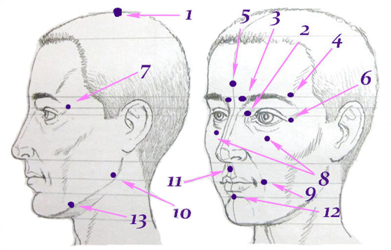 Голова и тело. Точки акупунктуры от мигрени. Мигрень акупунктурные точки. Точки акупунктуры на голове. Биологические точки на голове.