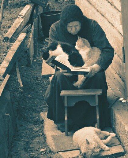 Скрин сделан автором из сайта Pinterest