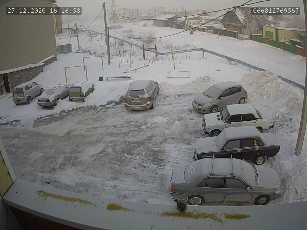 вроде воробей - прилетел на обед )))  Скрин с видеокамеры