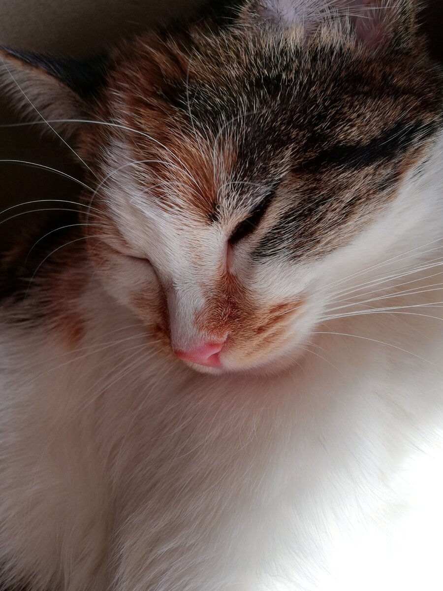 Мой первый опыт в 