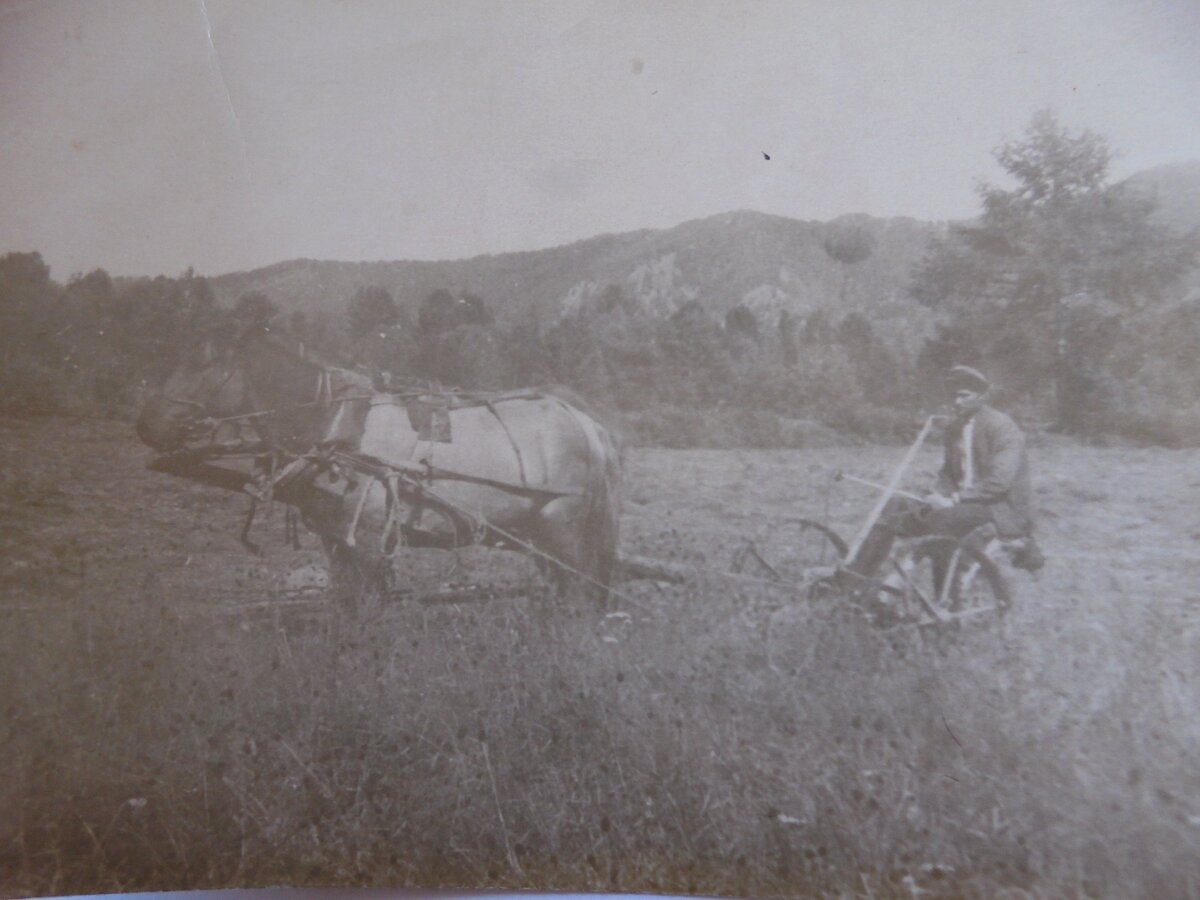 Сенокосилка.