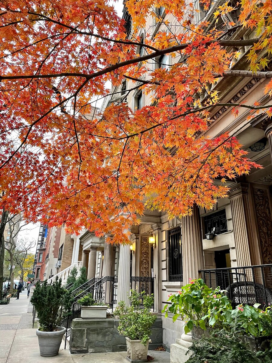 Upper East Side мне очень нравится, жилье очень подешевело по сравнению с прошлым годом. Мне очень повезло с районом и приемлемой ценой