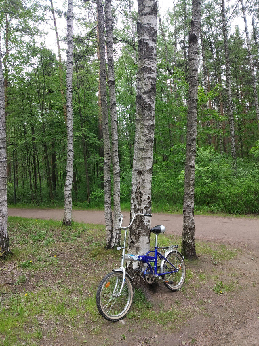 Велосипед в парке Сосновка. Фото автора