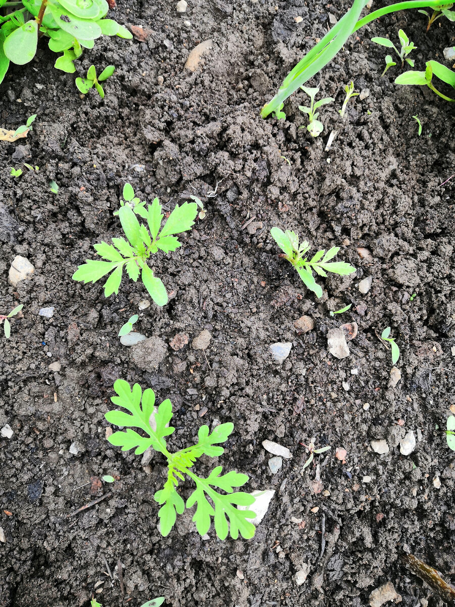 май 2021 года