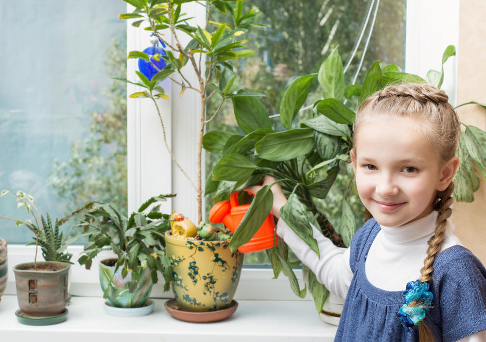 Комнатные растения для детской. Дети с комнатными цветами. Домашние растения для детей. Растения в детской.