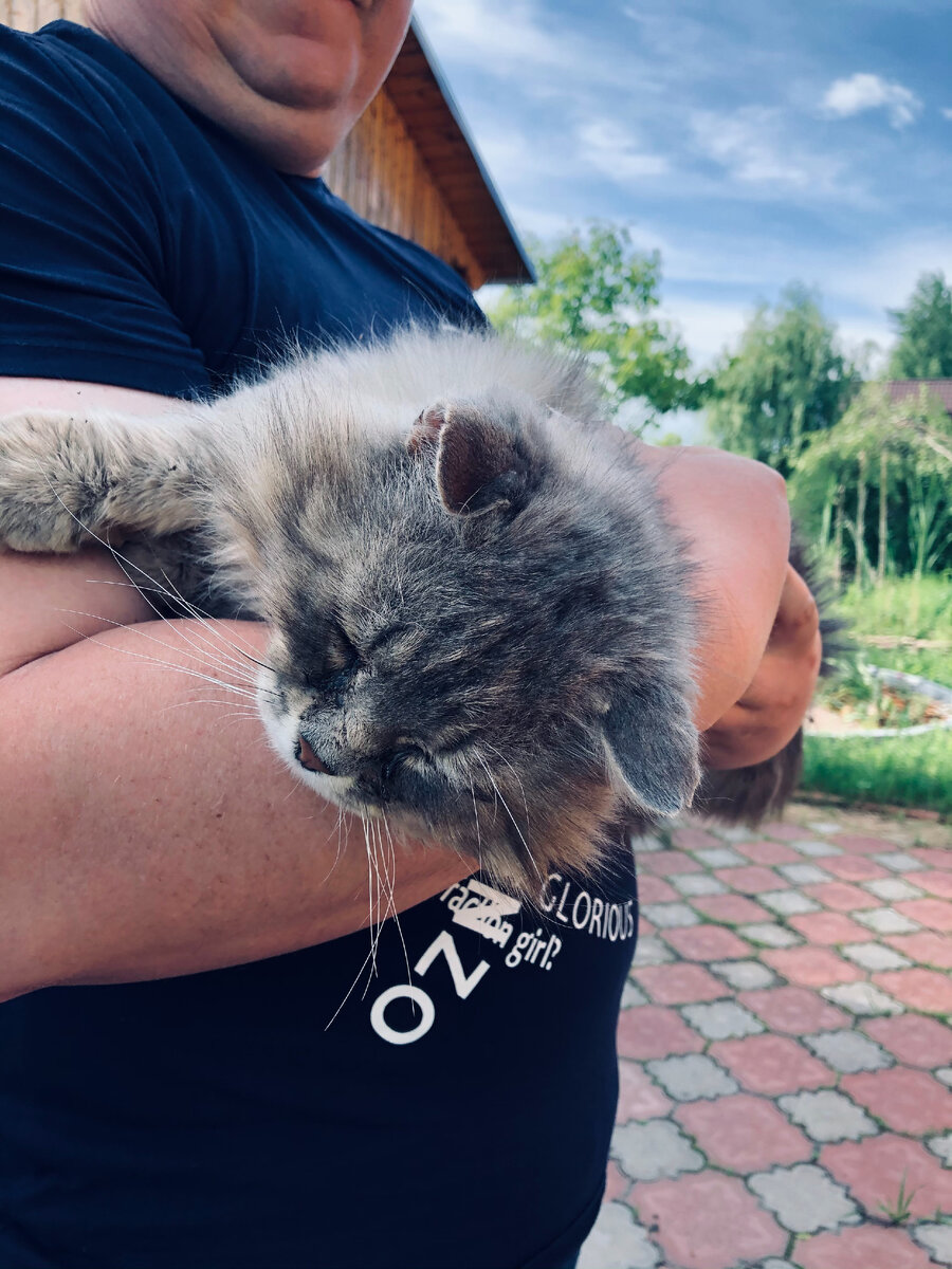 Муж несет на ручках усталого Филю кушать. Везде фото автора. 