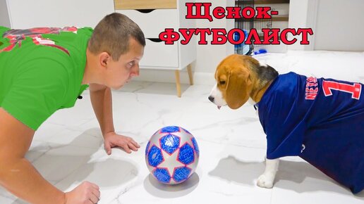 Щенок Брос Шоу СТАЛ ФУТБОЛИСТОМ.