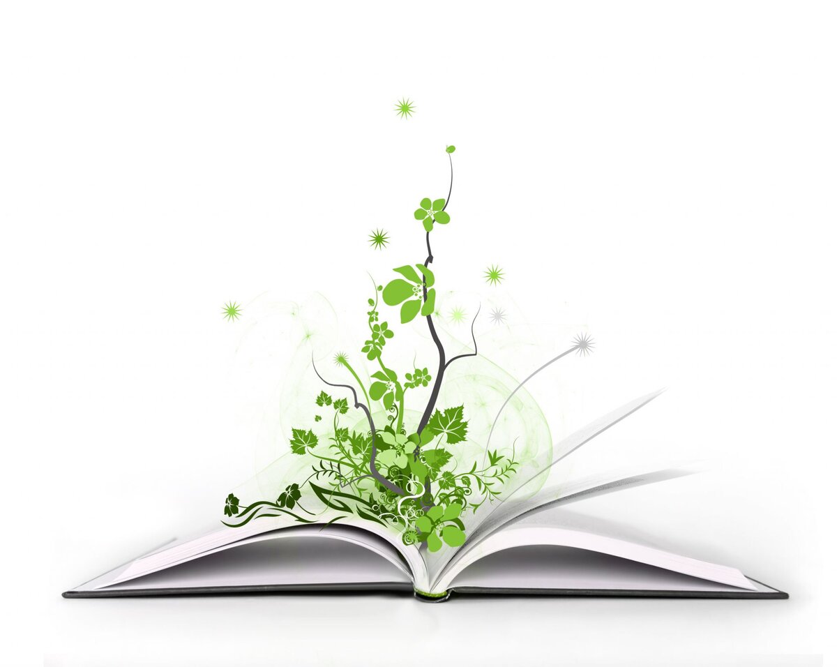 Картинка взята из открытого источника