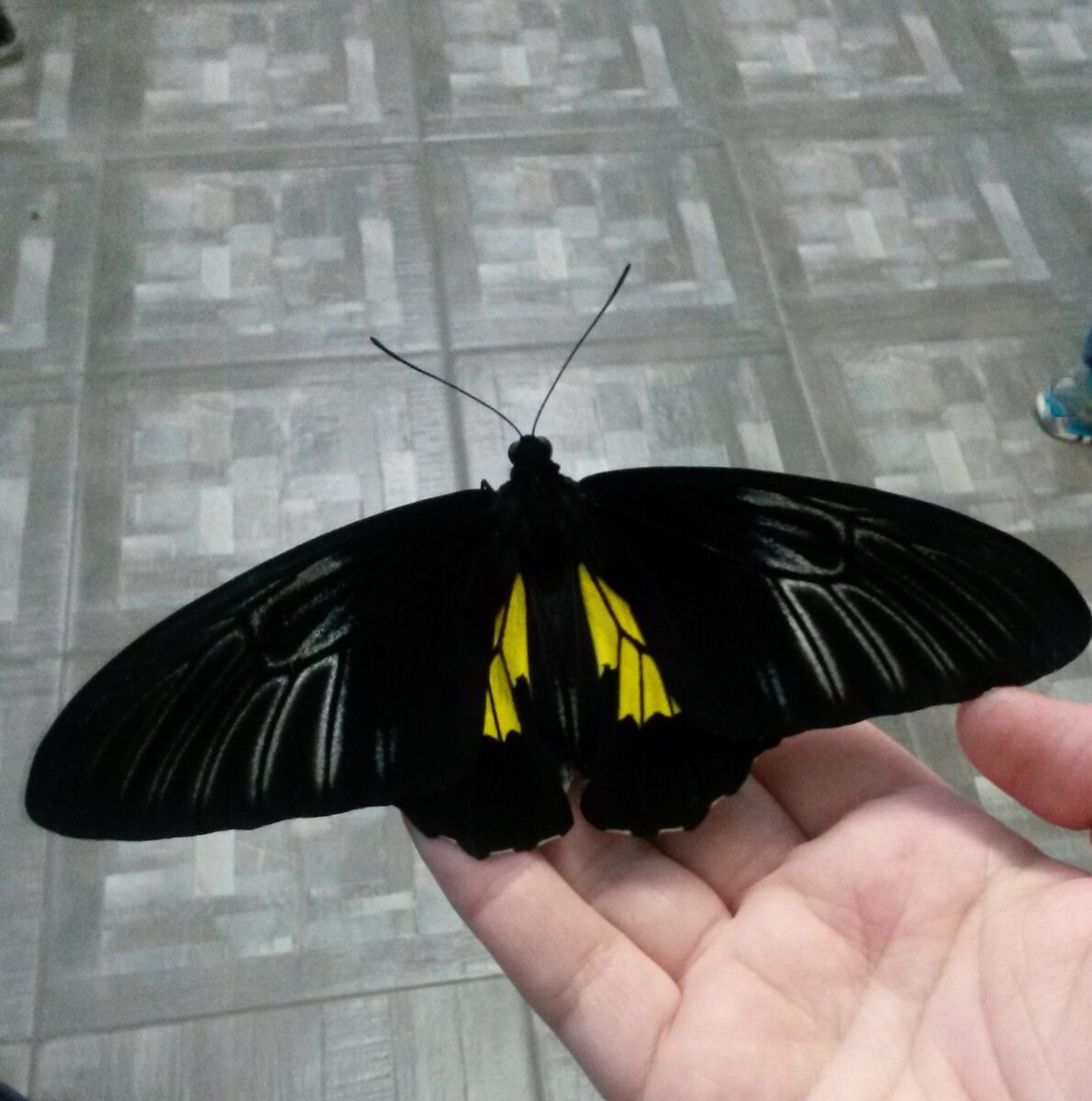 Фото автора