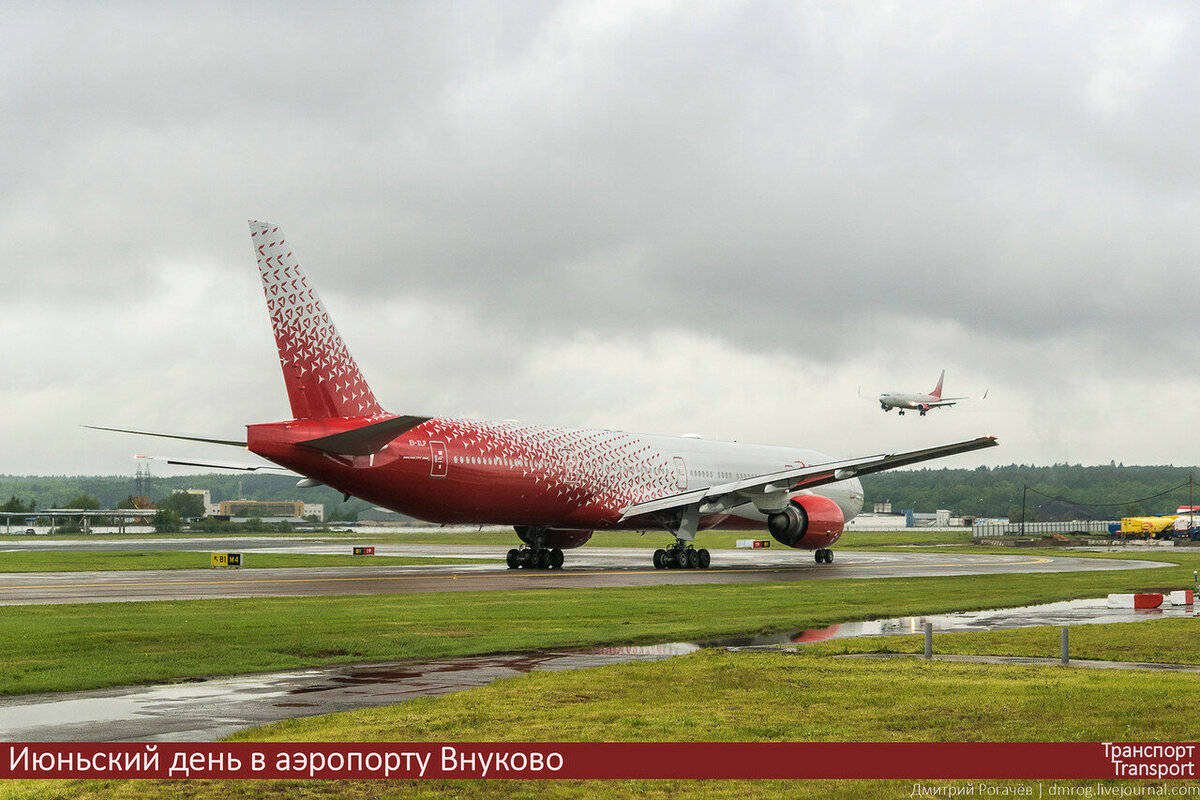 Споттинг в аэропорту Внуково. Фото автора. 
