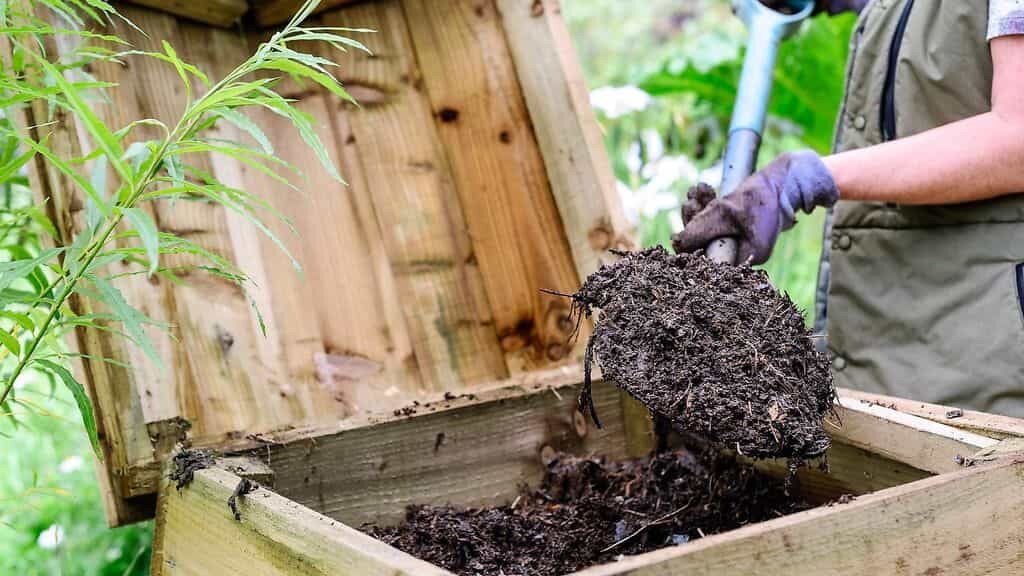 Как сделать компост: проверенные способы