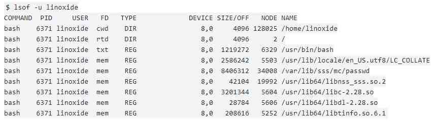 Команда Lsof в системе Linux