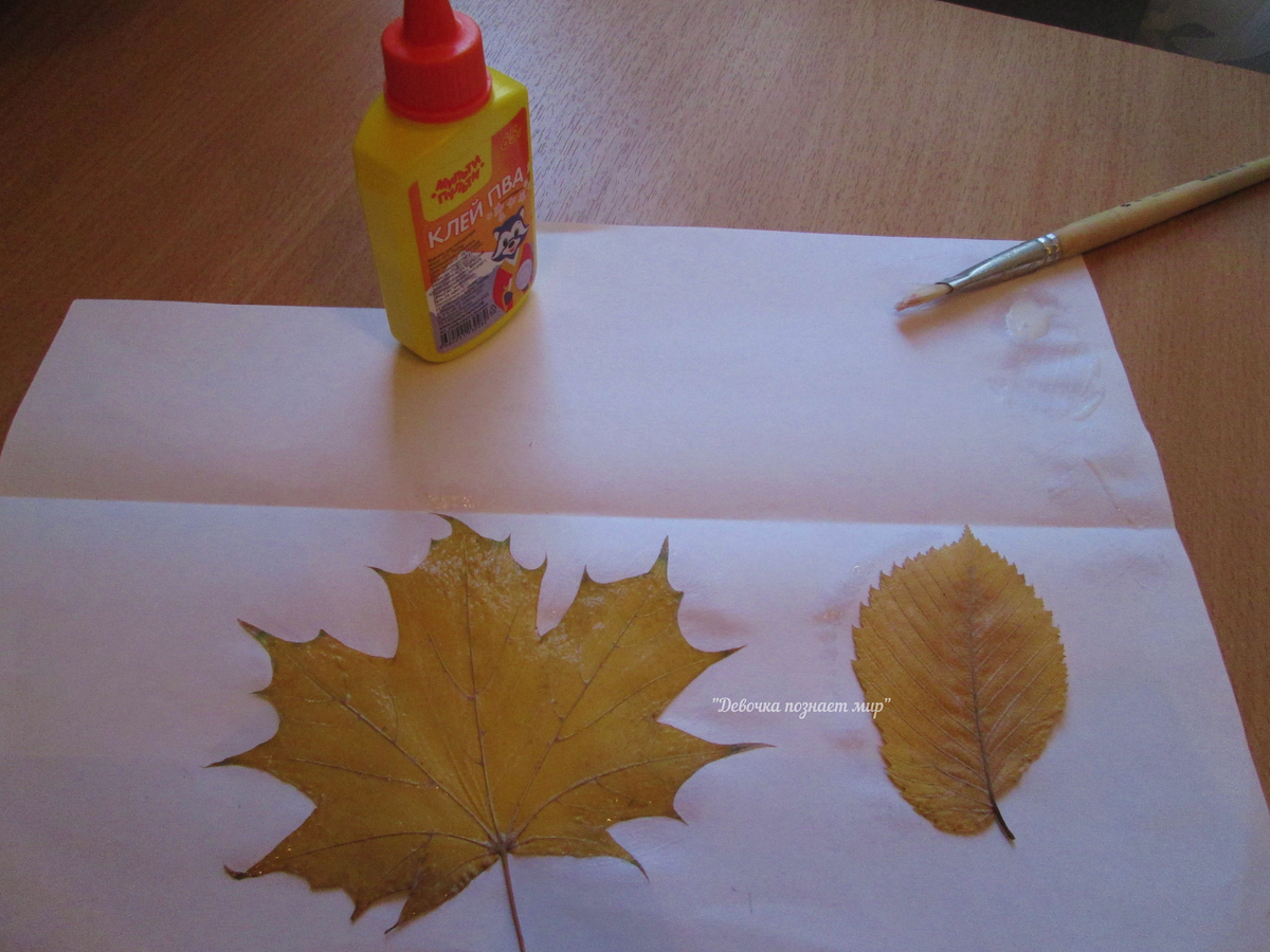 100 лучших идей: Красивые картины из листьев своими руками фото