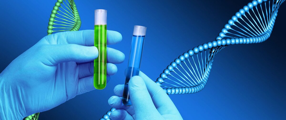 Фото с сайта: https://clck.ru/YeNCe