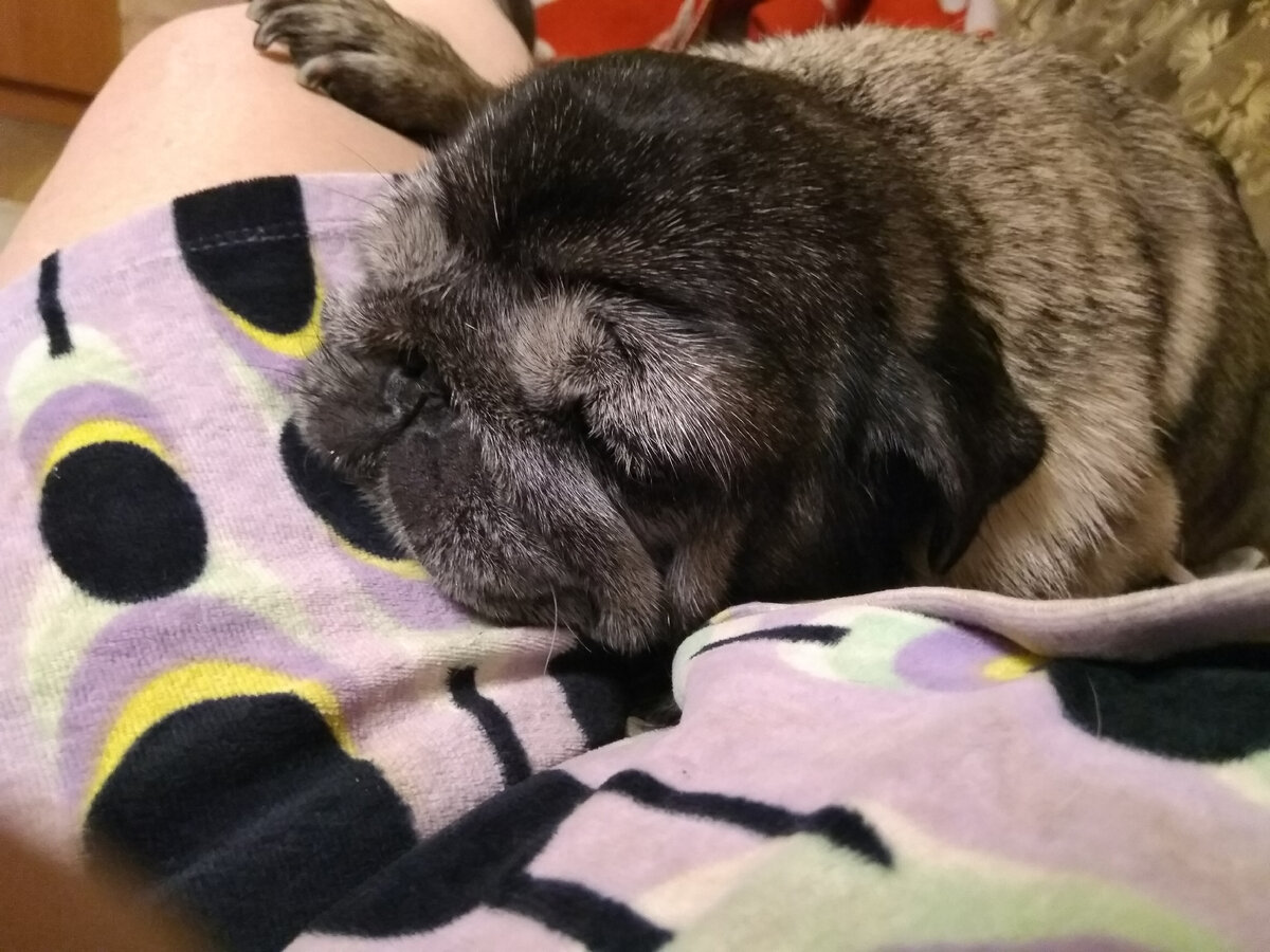 Фото автора. Счастье можно купить)