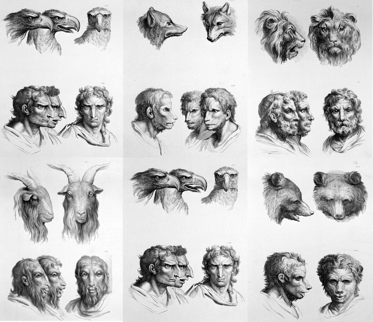 Работы Шарля Лебрена