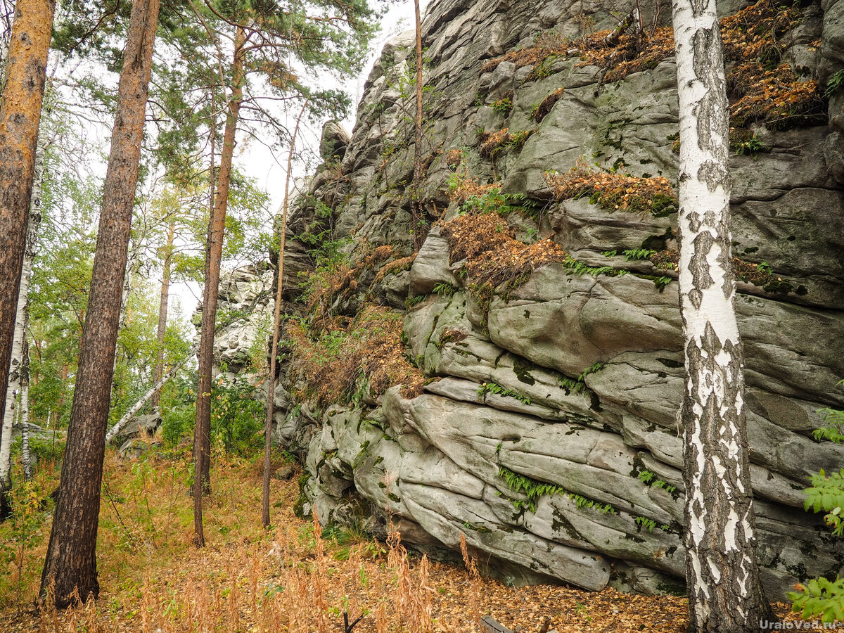 гора городище