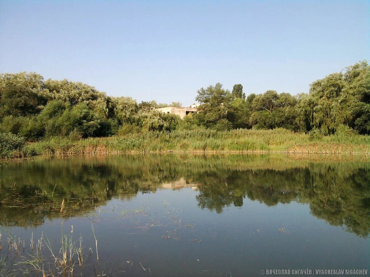 Карьер / Водоем, 2010 год