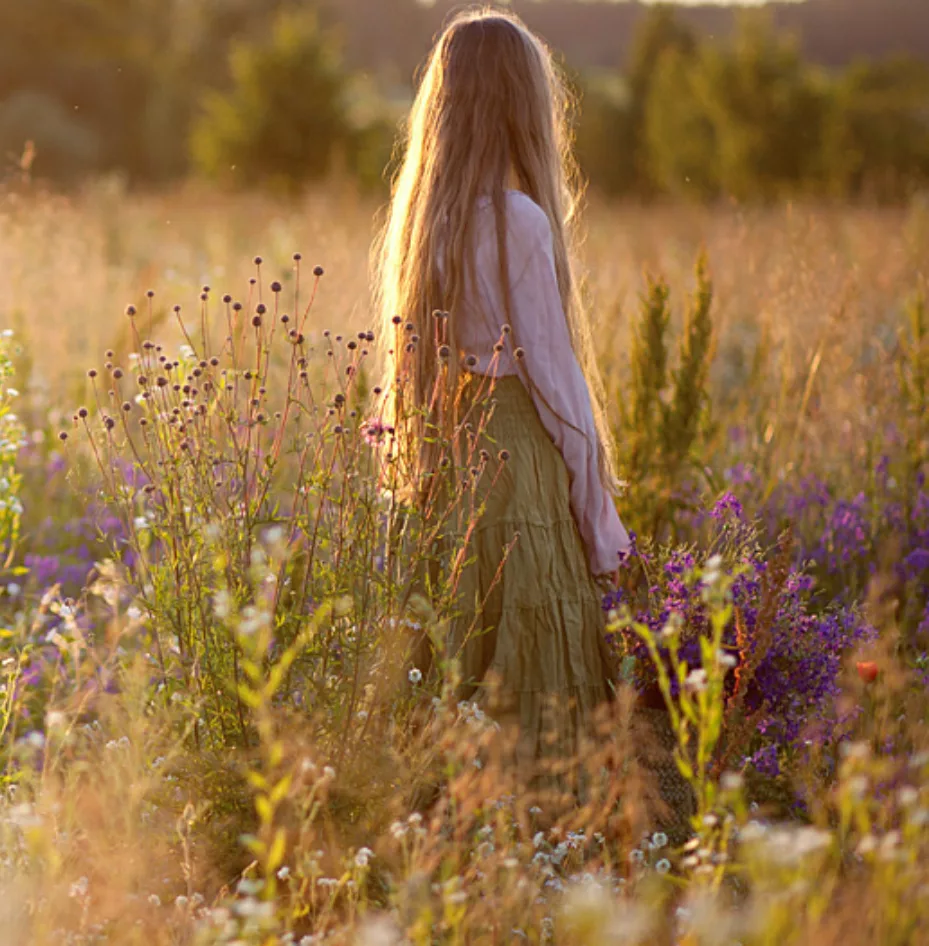 Фото из открытого источника ЯндексКартинки