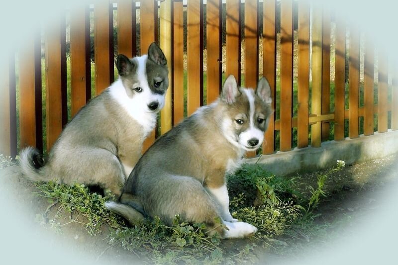 Основные правила воспитания