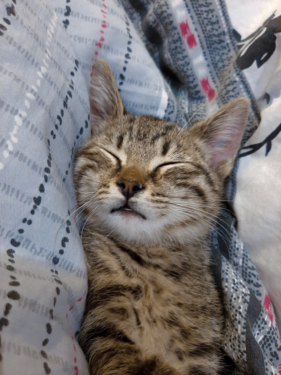 Может быть она самая настоящая Соня :D