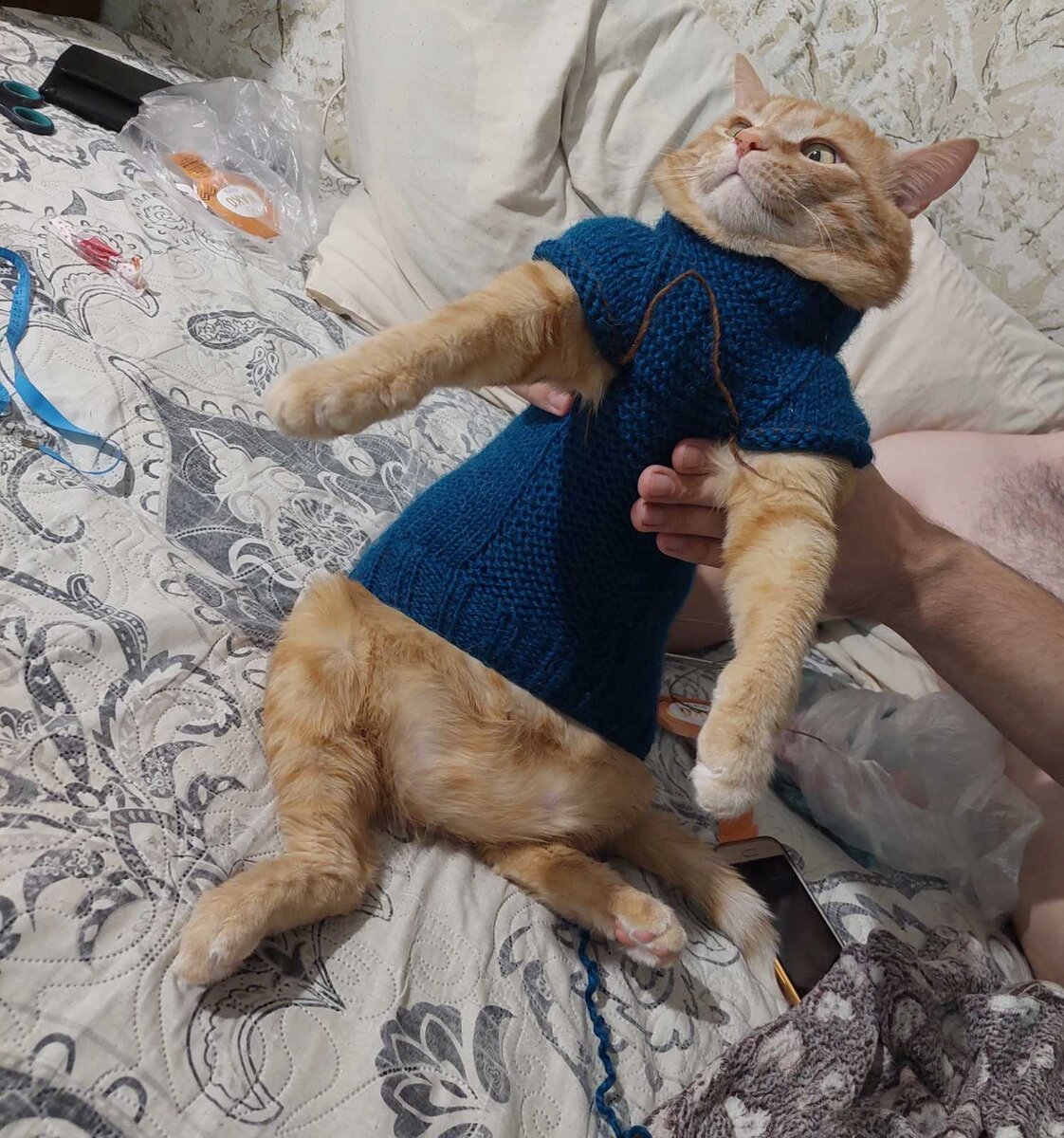 Персик в костюме