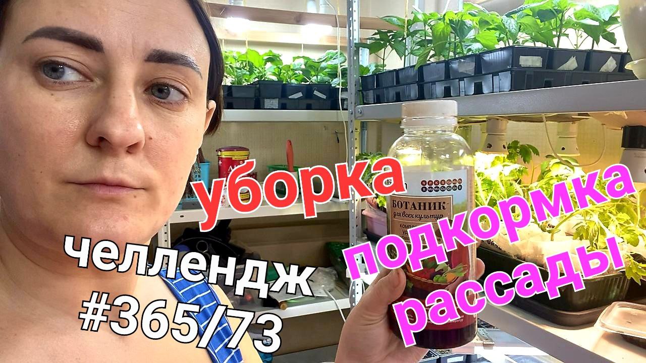 Челлендж 365#73/Ежедневные влоги целый год/Уборка дома. Опять рассада...  Пересаживаю и подкармливаю