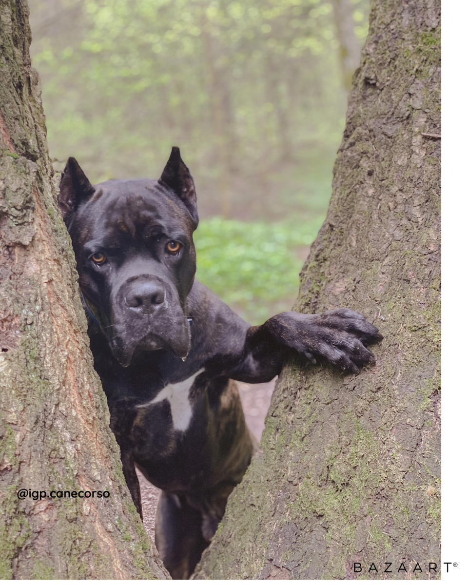 Личное фото автора