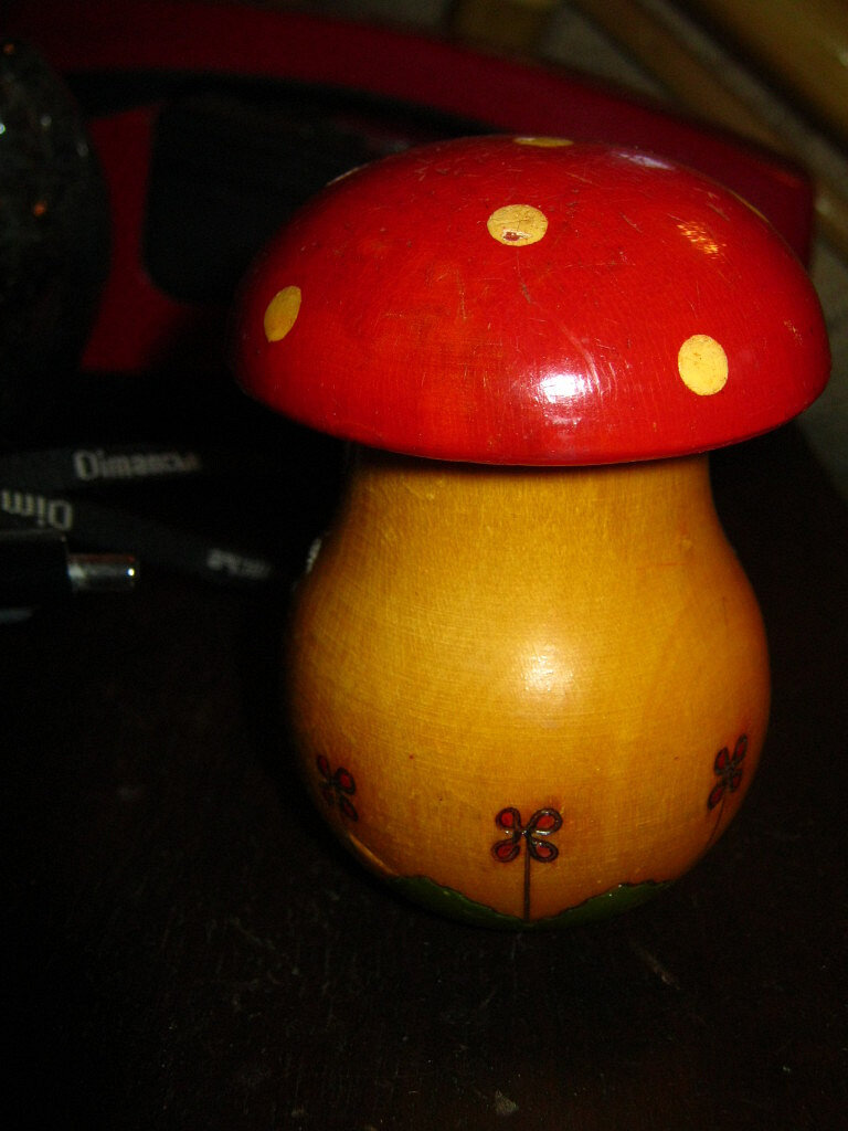 Вот такой грибок. Хотела сфотографировать свой, но я пока еще в больнице. Яндекс.Картинки