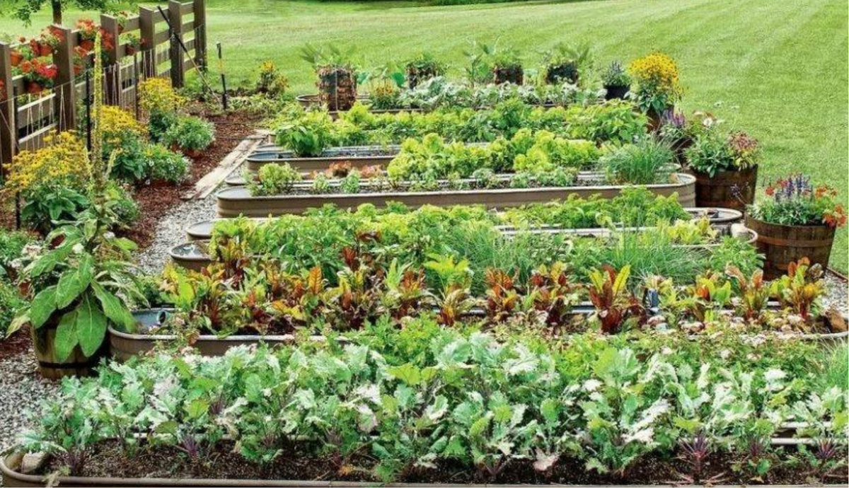 Чтобы не убить растения на участке, необходимо правильно разместить растения на участке!