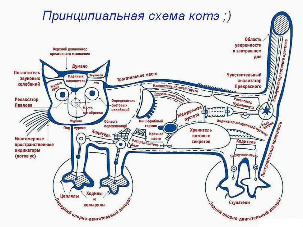 Принципиальный это. Схема. Схема кота. Е^Х. Принципиальная схема котэ