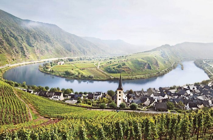 Виноградники Мозеля